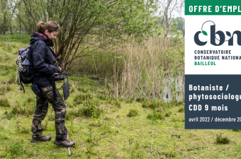 Le CBN de Bailleul recherche un.e botaniste / phytosociologue en CDD