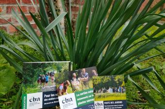 Des nouveaux documents à consulter