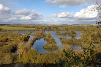 Les orchidées du Larris de Frise 
