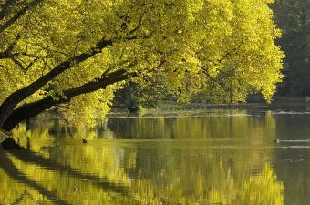 Photo Département de l'Oise
