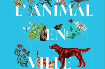 Semaine de l'animal en ville au Parc Malo de Dunkerque (Nord)