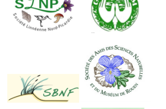 17 500 nouvelles données d'observation flore/habitat