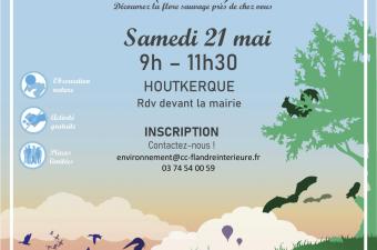 Inventaire participatif flore sauvage à Houtkerque (59)