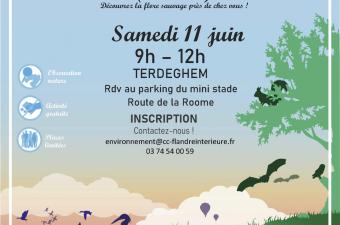 Inventaire participatif flore sauvage à Terdeghem (59) 