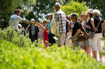 Retour sur "Émulsion botanique saison 2"