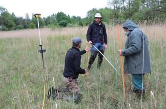 Des nouvelles du projet LIFE Anthropofens : sélection des zones de réintroduction en Belgique