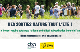 Sorties nature été Coeur de Flandre