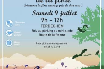 Inventaire participatif flore sauvage à Terdeghem (59)