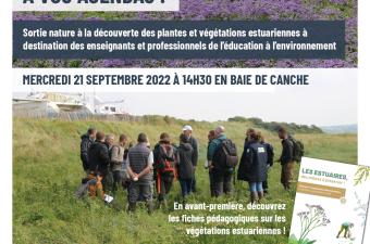 Une sortie pour mieux connaître les végétations des estuaires 