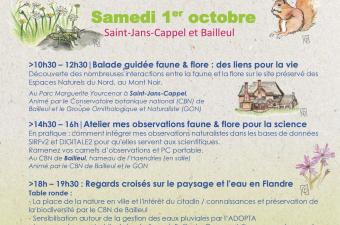 Clôture de la saison d'animations biodiversité de la CCFI (Nord)