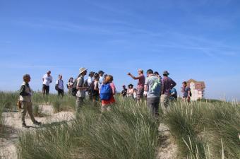 École de phytosociologie (niveau 1)