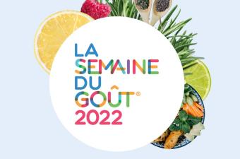 Balade à la découverte des plantes sauvages comestibles au Jardin des Plantes de Rouen