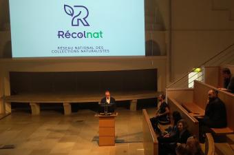 Connaissez-vous Recolnat ?