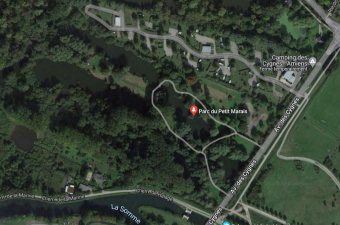 Sortie nature : "À la découverte des plantes sauvages du Parc du Petit Marais à Amiens" (Somme)