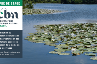 Offre de stage 2023 : "Contribution au programme d’inventaire des macrophytes et des végétations associées du bassin de la Seine en Hauts-de-France"