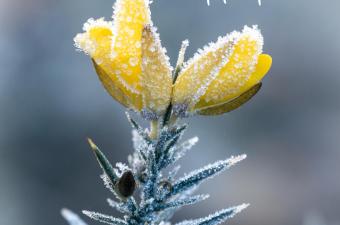 Joyeuses fêtes de fin d'année !