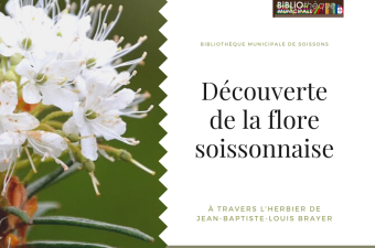 Découverte de la flore soissonnaise à travers l'herbier Brayer