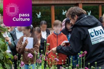 Enseignants en collèges et en lycées : avec le Pass culture, profitez des animations du CBN de Bailleul !