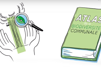 Mardinale à Géodomia "ABC, découvrons ensemble la biodiversité communale"