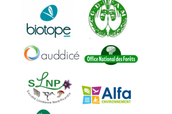  34 800 nouvelles données d’observation flore/habitat dans Digitale2