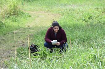 Arrivée de Sarah en stage au siège du CBN de Bailleul