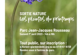 Sortie nature : "Les plantes du printemps" au Parc Jean-Jacques Rousseau d'Ermenonville (Oise)