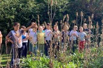 Webinaire « école et biodiversité » en Flandre intérieure