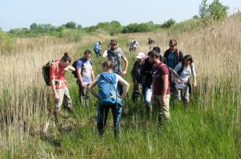 Réunion du [Collectif Chara] du CBN de Bailleul dans le Nord