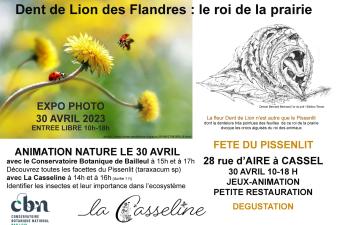 Fête du Pissenlit à Cassel (Nord)