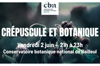 Sortie à la torche "Crépuscule et botanique"