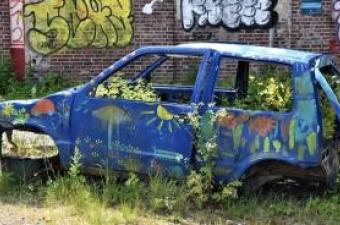 Inviter la nature chez soi : Pourquoi un jardin punk ? (Roubaix)
