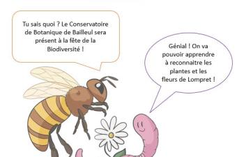 Sortie "découverte de la flore sauvage" à la Fête de la biodiversité (Lompret, Nord)