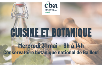 Atelier "Cuisine et botanique"