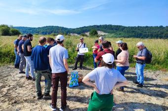 Une journée de sensibilisation à la botanique à Petiville (Seine-Maritime)