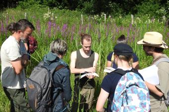 A la découverte de la flore des zones humides 