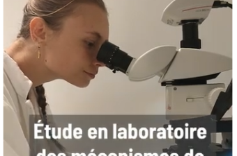 Deux vidéos sur la Violette de Rouen !