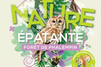 Événement "Nature épatante" en forêt de Phalempin (Nord)