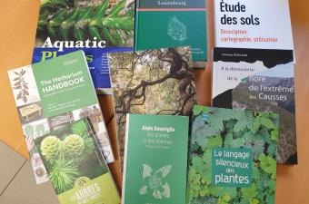 Les nouveautés à la bibliothèque