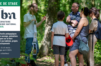 Offre de stage : "Création d’outils pédagogiques sur la flore sauvage, animations pédagogiques sur la flore sauvage et ses habitats, projets liés à l’écocitoyenneté"