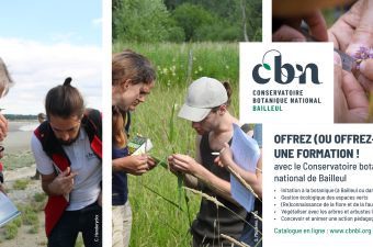 Offrez une formation !