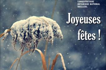 Joyeuses fêtes de fin d'année !