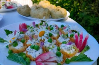 Atelier plantes sauvages comestibles à Géodomia (Aisne)