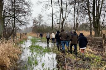 Le CBN de Bailleul invité au comité de pilotage sur les zones humides restaurées par les fédérations de chasse picardes