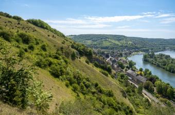 Le CBN de Bailleul ne se sépare pas encore complètement de la Haute-Normandie