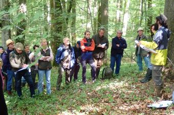 Le réseau des botanistes bénévoles, une aide précieuse pour le CBN de Bailleul