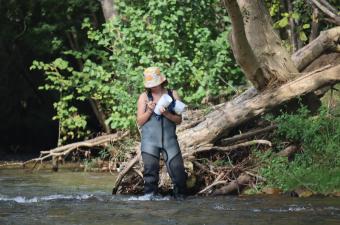 Arrivée de Clara en stage à l'antenne Picardie