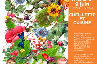 Atelier cueillette et cuisine à Grande-Synthe (Nord)