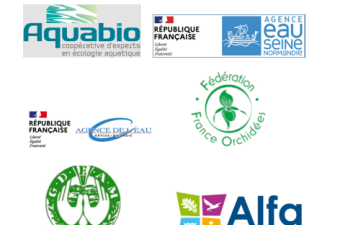  31 000 nouvelles données d'observation flore/habitat (février - mi mars 2024) sur Digitale2