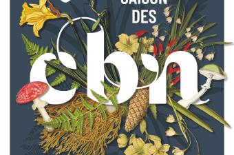 La belle saison des CBN 2024