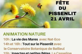 La fête du pissenlit à la Casseline (Cassel, Nord)